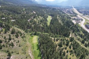 Silvertip 3rd Aerial Green